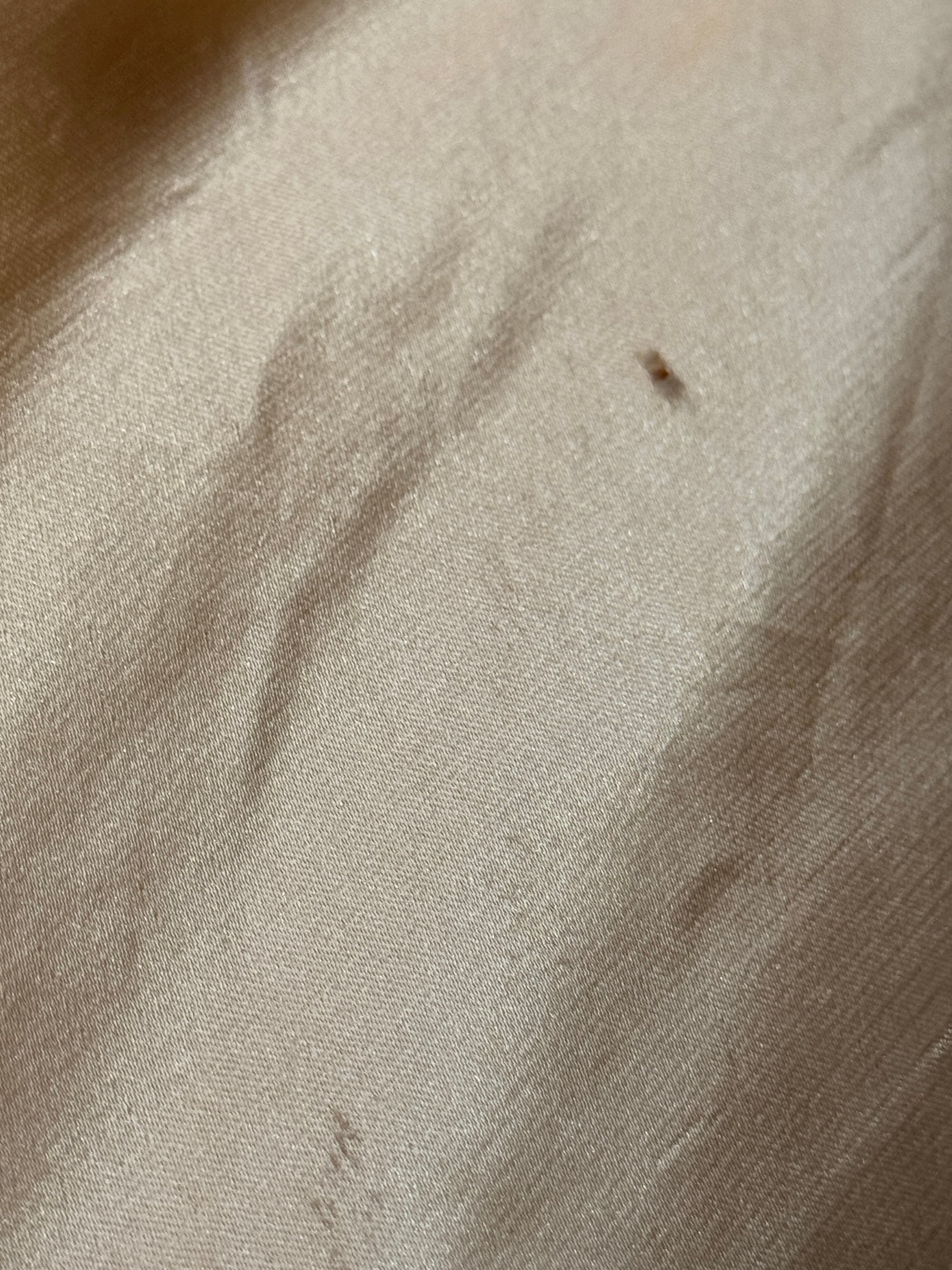 Vintage 20s Flapper Champagne Wedding Dress With Rosettes