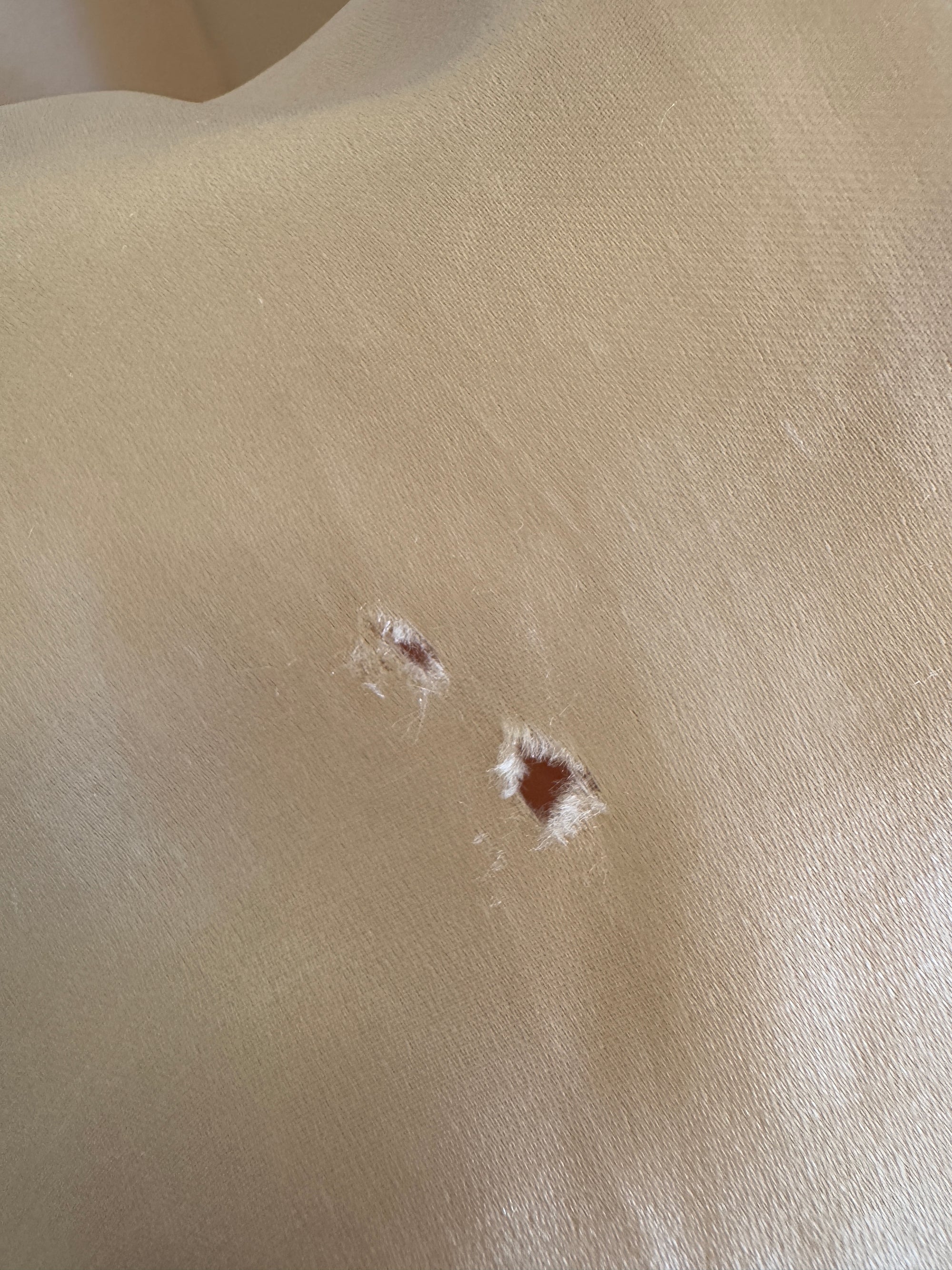 Vintage 20s Flapper Champagne Wedding Dress With Rosettes