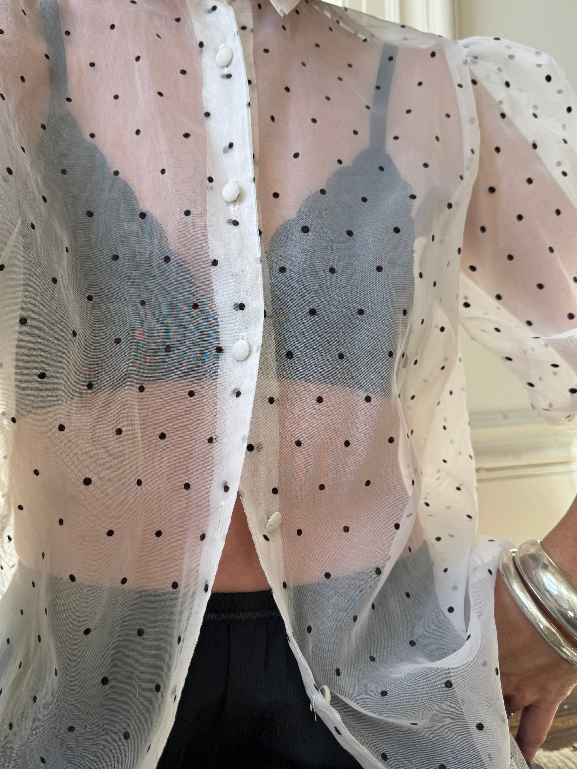 Vintage Polka Dot Organza Button Up Blouse